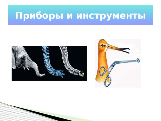 Приборы и инструменты 