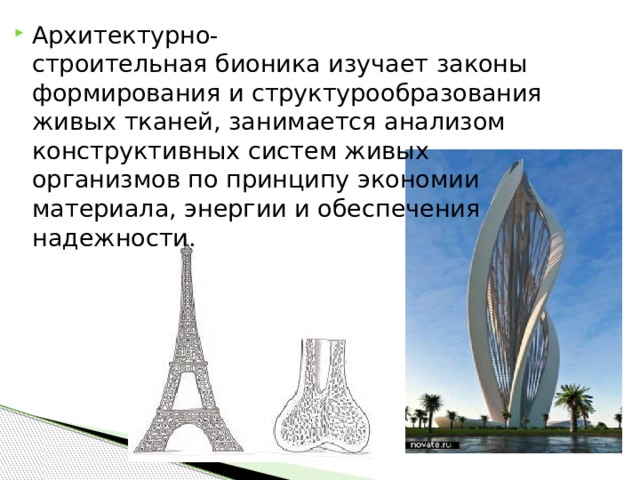 Архитектурно-строительная бионика изучает законы формирования и структурообразования живых тканей, занимается анализом конструктивных систем живых организмов по принципу экономии материала, энергии и обеспечения надежности. 