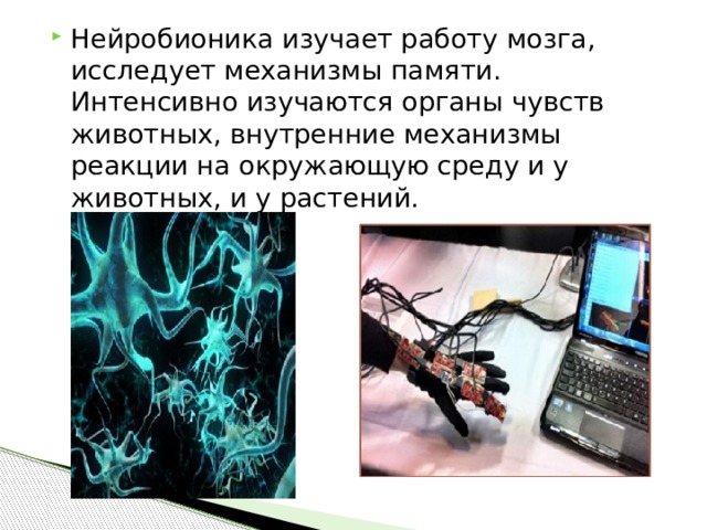 Нейробионика изучает работу мозга, исследует механизмы памяти. Интенсивно изучаются органы чувств животных, внутренние механизмы реакции на окружающую среду и у животных, и у растений.  