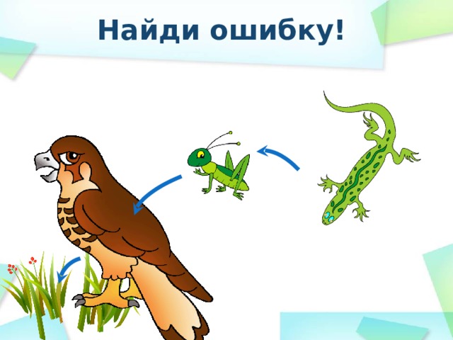 Найди ошибку! 