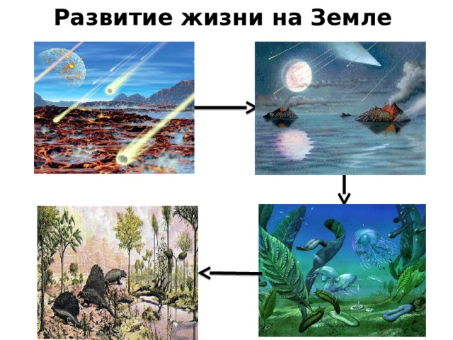 Развитие жизни на Земле 