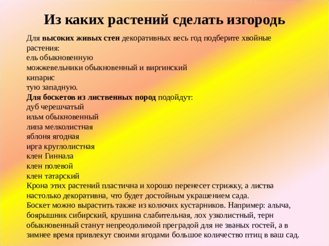 Из каких растений сделать изгородь Для  высоких живых стен  декоративных весь год подберите хвойные растения: ель обыкновенную можжевельники обыкновенный и виргинский кипарис тую западную. Для боскетов из лиственных пород подойдут: дуб черешчатый ильм обыкновенный липа мелколистная яблоня ягодная ирга круглолистная клен Гиннала клен полевой клен татарский Крона этих растений пластична и хорошо перенесет стрижку, а листва настолько декоративна, что будет достойным украшением сада. Боскет можно вырастить также из колючих кустарников. Например: алыча, боярышник сибирский, крушина слабительная, лох узколистный, терн обыкновенный станут непреодолимой преградой для не званых гостей, а в зимнее время привлекут своими ягодами большое количество птиц в ваш сад. 