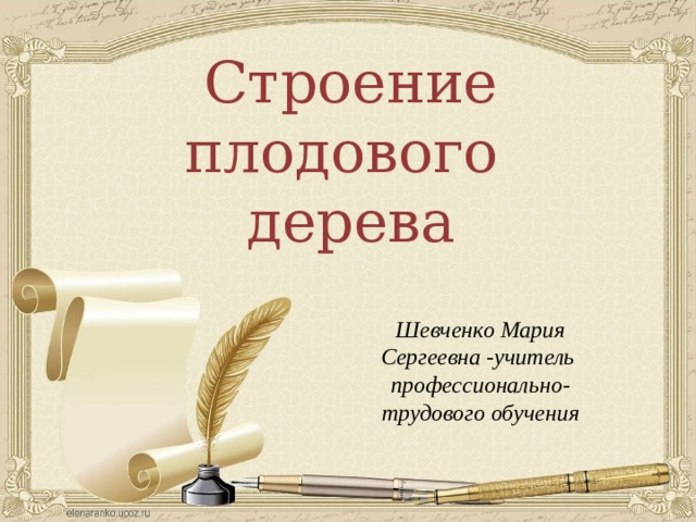 Строение плодового дерева Шевченко Мария Сергеевна -учитель профессионально-трудового обучения 