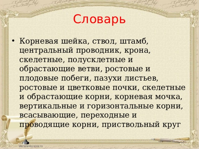 Словарь Корневая шейка, ствол, штамб, центральный проводник, крона, скелетные, полусклетные и обрастающие ветви, ростовые и плодовые побеги, пазухи листьев, ростовые и цветковые почки, скелетные и обрастающие корни, корневая мочка, вертикальные и горизонтальные корни, всасывающие, переходные и проводящие корни, приствольный круг 