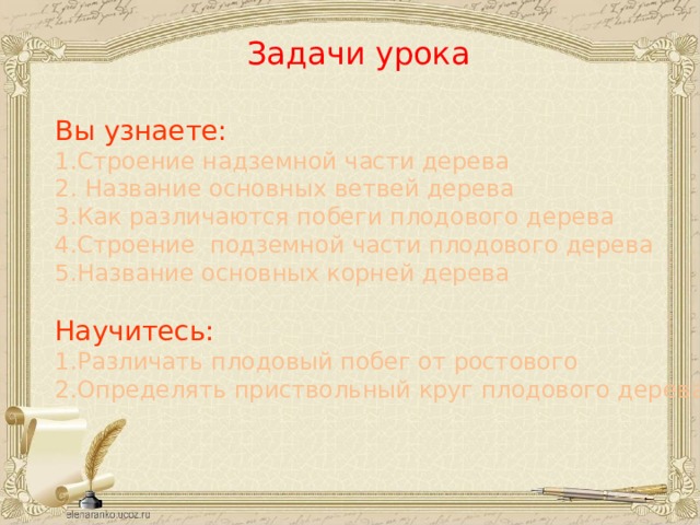 Задачи урока Вы узнаете: 1.Строение надземной части дерева 2. Название основных ветвей дерева 3.Как различаются побеги плодового дерева 4.Строение подземной части плодового дерева 5.Название основных корней дерева Научитесь: 1.Различать плодовый побег от ростового 2.Определять приствольный круг плодового дерева 