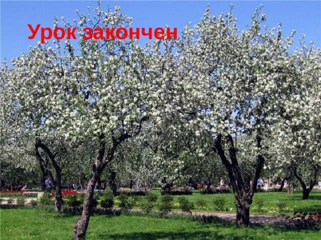 Урок закончен 