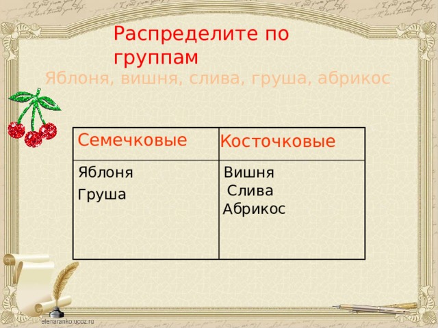 Распределите по группам Яблоня, вишня, слива, груша, абрикос Косточковые Семечковые Яблоня Вишня Слива Груша Абрикос 