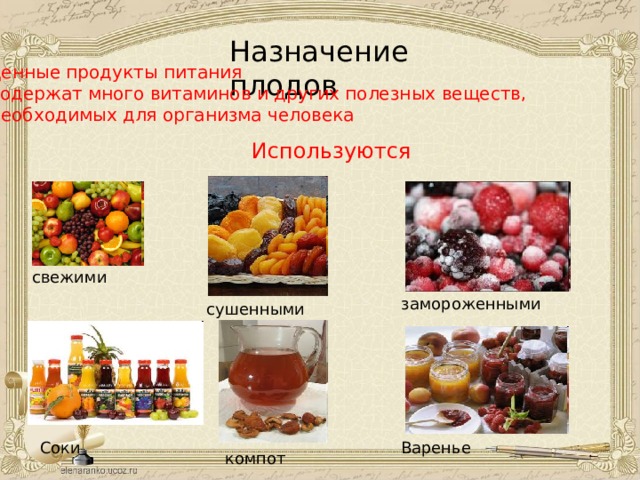 Назначение плодов Ценные продукты питания Содержат много витаминов и других полезных веществ, Необходимых для организма человека Используются свежими замороженными сушенными Соки Варенье компот 