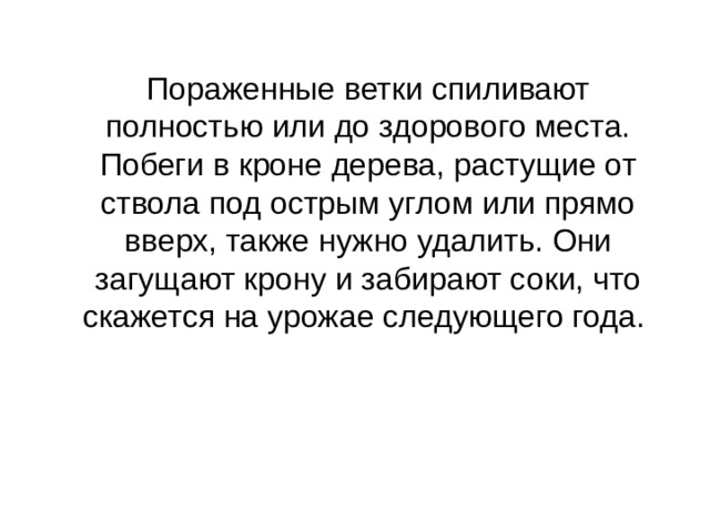  Пораженные ветки спиливают полностью или до здорового места. Побеги в кроне дерева, растущие от ствола под острым углом или прямо вверх, также нужно удалить. Они загущают крону и забирают соки, что скажется на урожае следующего года. 