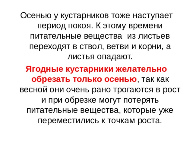 Ягодные кустарники желательно обрезать только осенью 