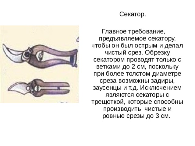 Секатор. Главное требование, предъявляемое секатору, чтобы он был острым и делал чистый срез. Обрезку секатором проводят только с ветками до 2 см, поскольку при более толстом диаметре среза возможны задиры, заусенцы и т.д. Исключением являются секаторы с трещоткой, которые способны производить  чистые и ровные срезы до 3 см. 