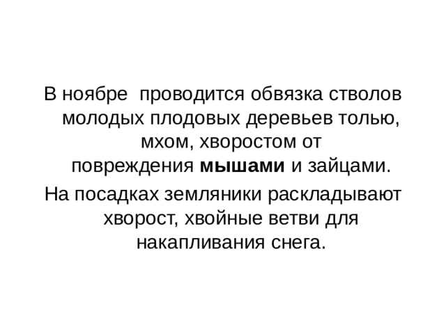 В ноябре  проводится обвязка стволов молодых плодовых деревьев толью, мхом, хворостом от повреждения  мышами  и зайцами. На посадках земляники раскладывают хворост, хвойные ветви для накапливания снега. 