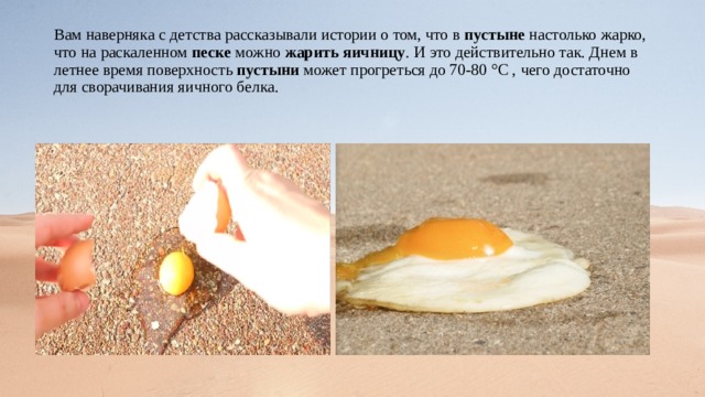 Вам наверняка с детства рассказывали истории о том, что в пустыне настолько жарко, что на раскаленном песке можно жарить  яичницу . И это действительно так. Днем в летнее время поверхность пустыни может прогреться до 70-80 °С , чего достаточно для сворачивания яичного белка. 