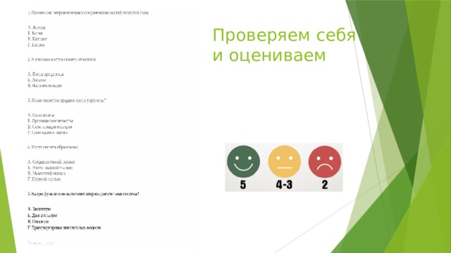 Проверяем себя и оцениваем 