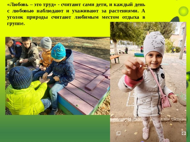 «Любовь – это труд» - считают сами дети, и каждый день с любовью наблюдают и ухаживают за растениями. А уголок природы считают любимым местом отдыха в группе. 