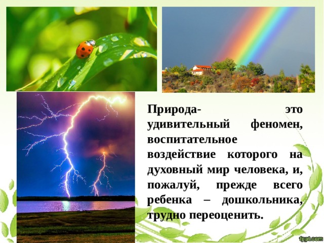 Природа- это удивительный феномен, воспитательное воздействие которого на духовный мир человека, и, пожалуй, прежде всего ребенка – дошкольника, трудно переоценить. 