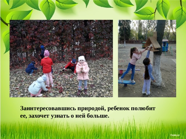 Заинтересовавшись природой, ребенок полюбит ее, захочет узнать о ней больше. 