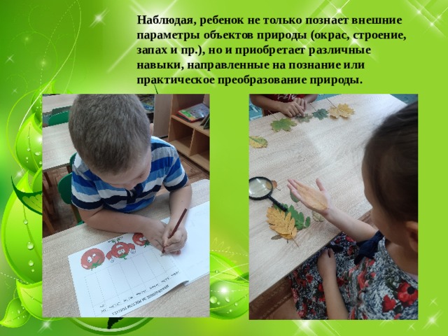 Наблюдая, ребенок не только познает внешние параметры объектов природы (окрас, строение, запах и пр.), но и приобретает различные навыки, направленные на познание или практическое преобразование природы. 