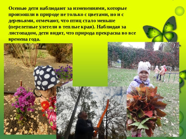 Осенью дети наблюдают за изменениями, которые произошли в природе не только с цветами, но и с деревьями, отмечают, что птиц стало меньше (перелетные улетели в теплые края). Наблюдая за листопадом, дети видят, что природа прекрасна во все времена года. 