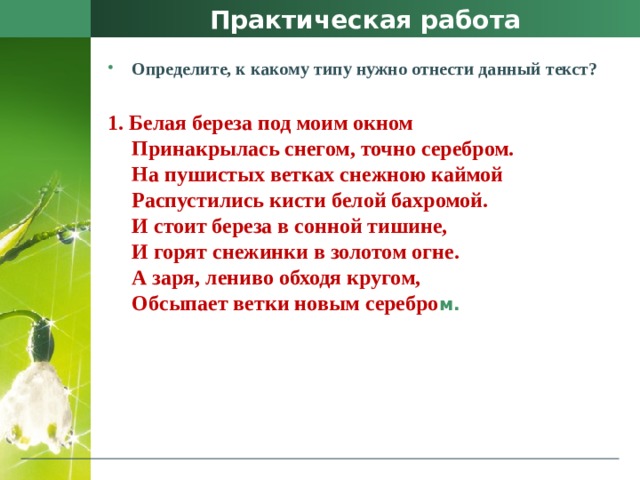 Практическая работа Определите, к какому типу нужно отнести данный текст? 1. Белая береза под моим окном  Принакрылась снегом, точно серебром.  На пушистых ветках снежною каймой  Распустились кисти белой бахромой.  И стоит береза в сонной тишине,  И горят снежинки в золотом огне.  А заря, лениво обходя кругом,  Обсыпает ветки новым серебро м. 