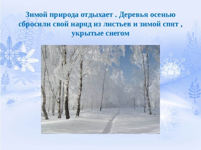 Зимой природа отдыхает . Деревья осенью сбросили свой наряд из листьев и зимой спят , укрытые снегом 