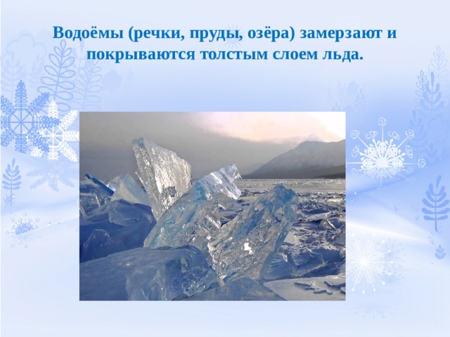 Водоёмы (речки, пруды, озёра) замерзают и покрываются толстым слоем льда. 