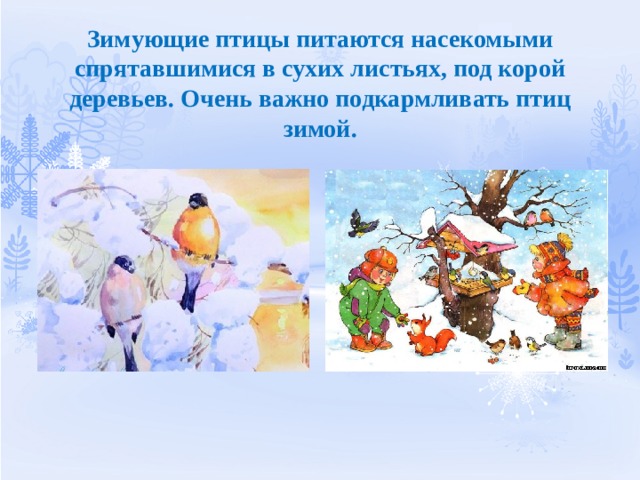 Зимующие птицы питаются насекомыми спрятавшимися в сухих листьях, под корой деревьев. Очень важно подкармливать птиц зимой. 