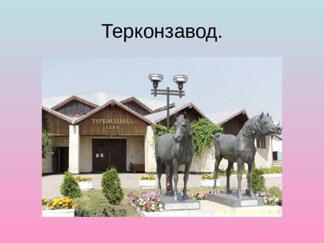 Терконзавод. 