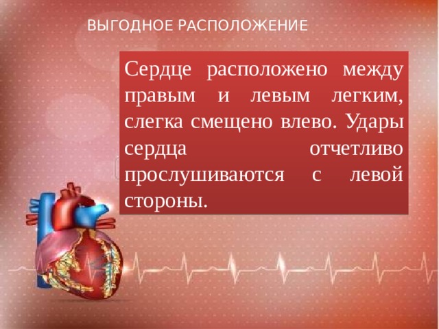 ВЫГОДНОЕ РАСПОЛОЖЕНИЕ Сердце расположено между правым и левым легким, слегка смещено влево. Удары сердца отчетливо прослушиваются с левой стороны. 