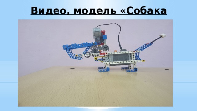 Видео, модель «Собака» 