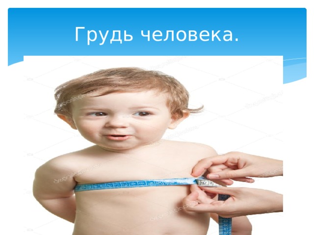 Грудь человека. 