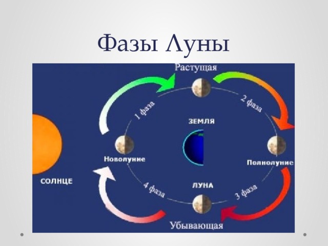 Фазы Луны 