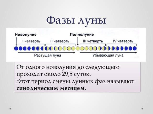 Фазы луны От одного новолуния до следующего проходит около 29,5 суток. Этот период смены лунных фаз называют синодическим месяцем . 