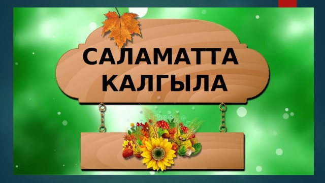 САЛАМАТТА  КАЛГЫЛА 