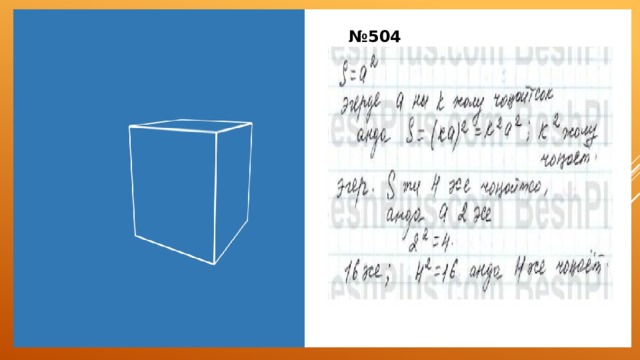 № 504 