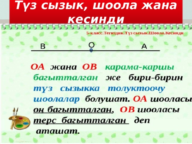 Түз сызык, шоола жана кесинди 