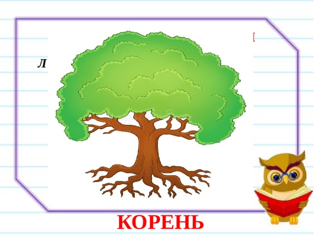 Минутка чистописания  Л л КОРЕНЬ 