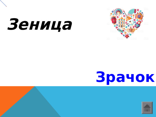 Зеница     Зрачок  