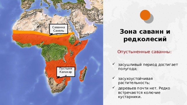 Саванна Сахель Зона саванн и редколесий Опустыненные саванны: засушливый период достигает полугода; Пустыня Калахари засухоустойчивая растительность; деревьев почти нет. Редко встречаются колючие кустарники.  