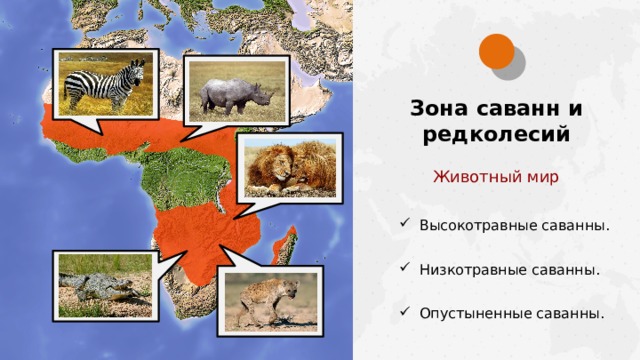 Зона саванн и редколесий Животный мир Высокотравные саванны. Низкотравные саванны. Опустыненные саванны.  