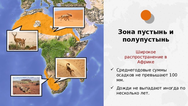 Зона пустынь и полупустынь Широкое распространение в Африке Среднегодовые суммы осадков не превышают 100 мм. Дожди не выпадают иногда по несколько лет.  