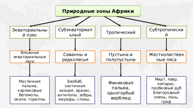 Природные зоны Африки Субэкваториальный Тропический Субтропический Экваториальный пояс Жестколиственные леса Пустыни и полупустыни Саванны и редколесья Влажные экваториальные леса Баобаб, зонтичная акация, арахис, антилопы, зебры, жирафы, слоны, Финиковая пальма, одногорбый верблюд Мирт, лавр, кипарис, пробковый дуб Благородный олень, лань, гриф Масличная пальма, карликовые бегемоты, окапи, гориллы 