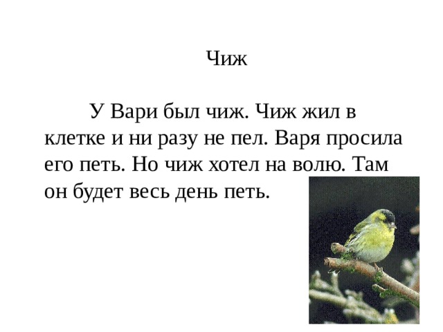 Чиж  У Вари был чиж. Чиж жил в клетке и ни разу не пел. Варя просила его петь. Но чиж хотел на волю. Там он будет весь день петь. 