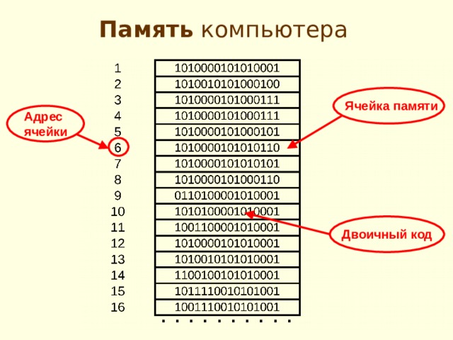 Память компьютера Ячейка памяти Адрес ячейки Двоичный код . . . . . . . . . . 