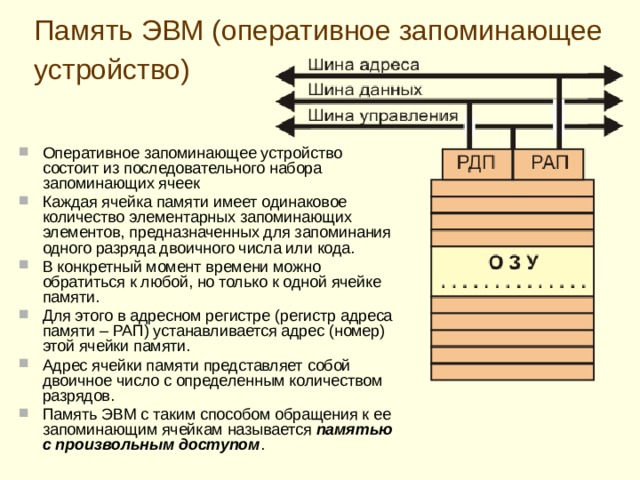 Память ЭВМ (оперативное запоминающее устройство)  О перативное запоминающее устройство состоит из последовательного набора запоминающих ячеек Каждая ячейка памяти имеет одинаковое количество элементарных запоминающих элементов, предназначенных для запоминания одного разряда двоичного числа или кода. В конкретный момент времени можно обратиться к любой, но только к одной ячейке памяти. Для этого в адресном регистре (регистр адреса памяти – РАП) устанавливается адрес (номер) этой ячейки памяти. Адрес ячейки памяти представляет собой двоичное число с определенным количеством разрядов. Память ЭВМ с таким способом обращения к ее запоминающим ячейкам называется памятью с произвольным доступом .  