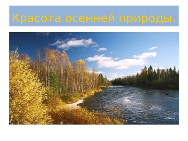 Красота осенней природы. 
