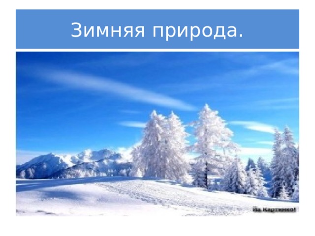 Зимняя природа. 