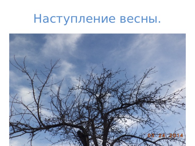 Наступление весны. 