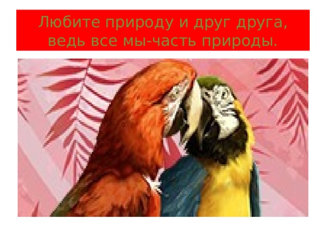 Любите природу и друг друга,  ведь все мы-часть природы. 