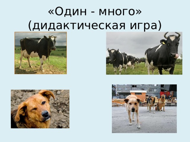 «Один - много»  (дидактическая игра) 